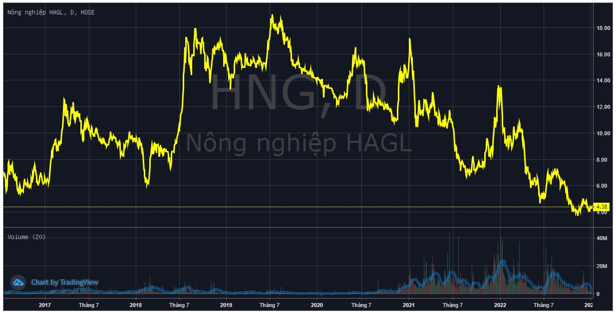 HAGL Agrico (HNG) xin gia hạn thời gian nộp BCTC quý 4/2022 - Ảnh 2.