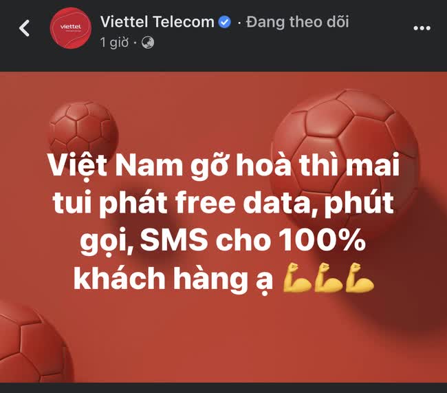 Nhà mạng chịu chơi nhất gọi tên Viettel: Miễn phí data, phút gọi, SMS cho người dùng khi tuyển Việt Nam hòa Thái Lan 2-2 ở AFF Cup - Ảnh 2.