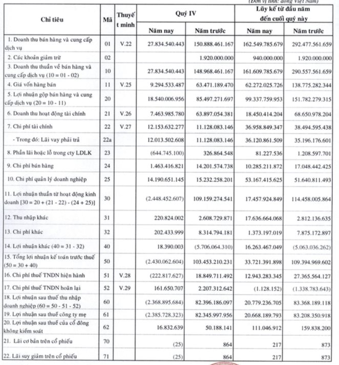Hậu án phạt, Vạn Phát Hưng (VPH) báo lãi 2022 sụt  giảm 75% - Ảnh 2.