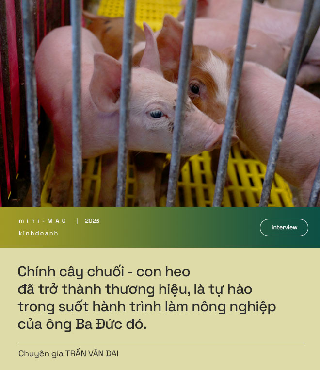 Công thần giúp “hồi sinh” HAGL tiết lộ công thức đặc biệt tạo ra “heo ăn chuối” và quan hệ kỳ lạ với bầu Đức  - Ảnh 13.