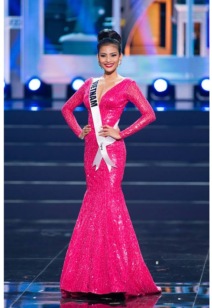 Những mỹ nhân Việt gây tiếc nuối khi 'trắng tay' tại Miss Universe - Ảnh 5.
