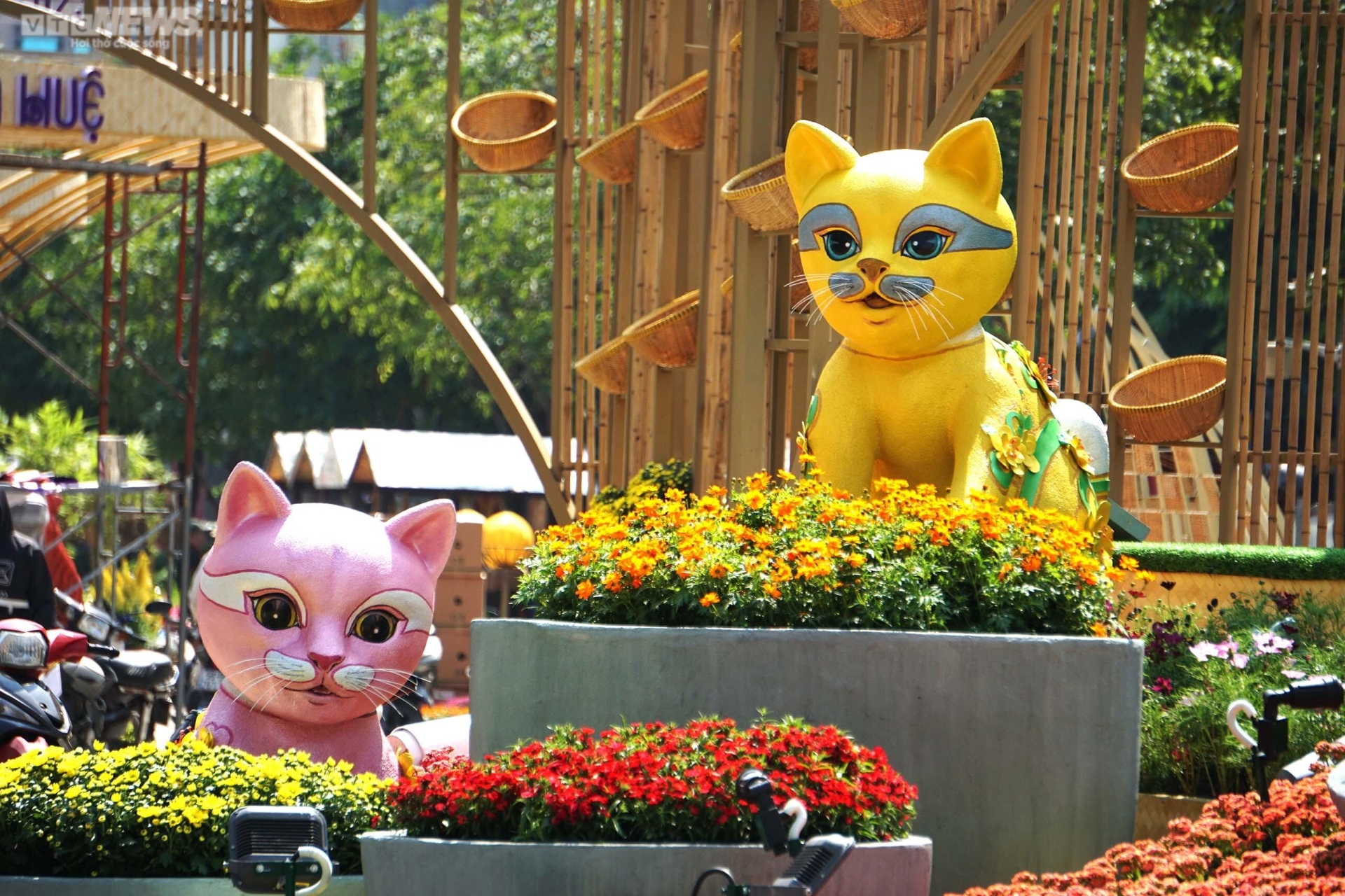 Linh vật mèo đường hoa Nguyễn Huệ được bình chọn 'gia đình đông con nhất' - Ảnh 9.