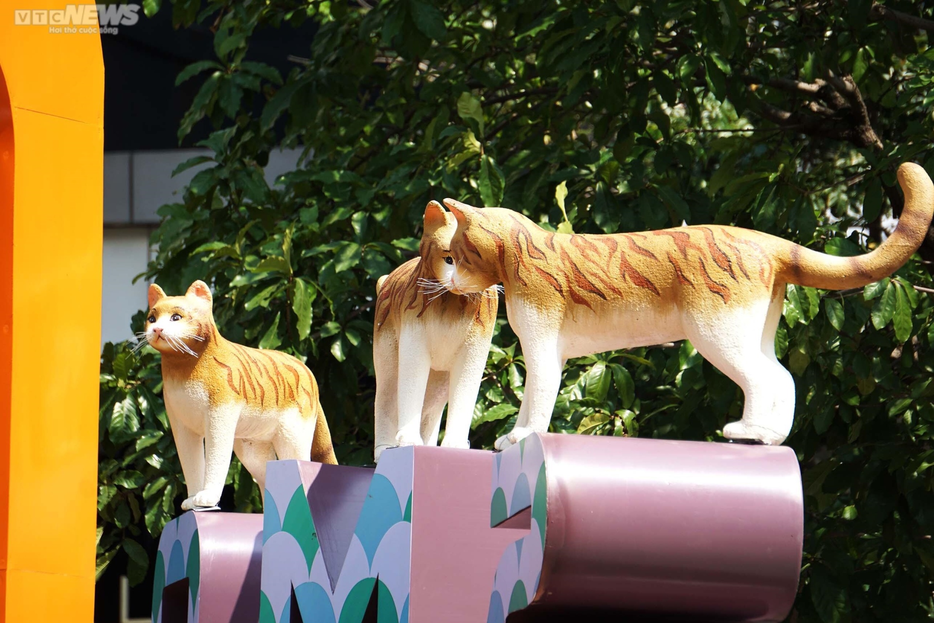 Linh vật mèo đường hoa Nguyễn Huệ được bình chọn 'gia đình đông con nhất' - Ảnh 6.