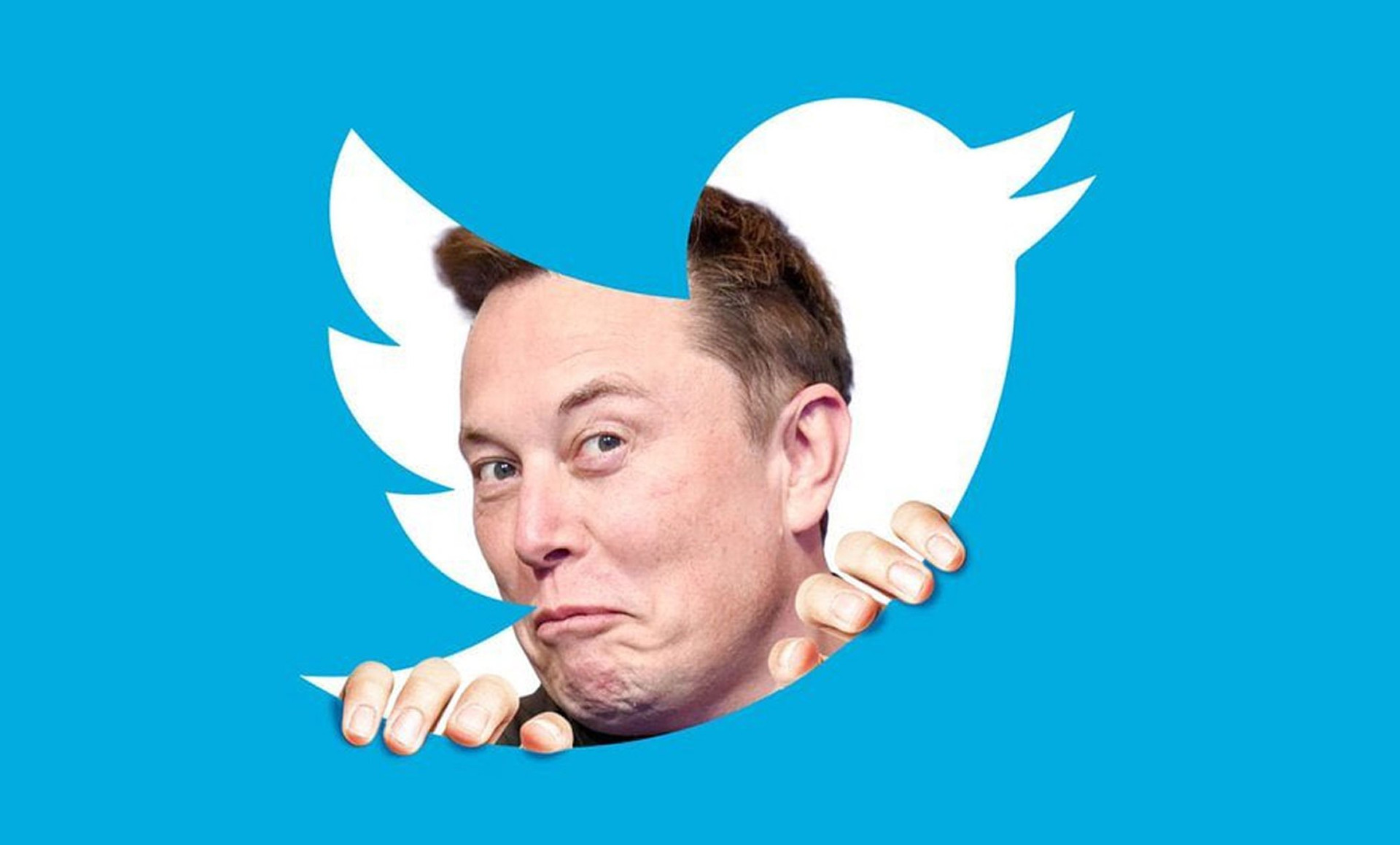 ‘Mở bát’ 2023, Elon Musk tặng ‘lì xì gây sốc’ cho nhân viên - Ảnh 1.