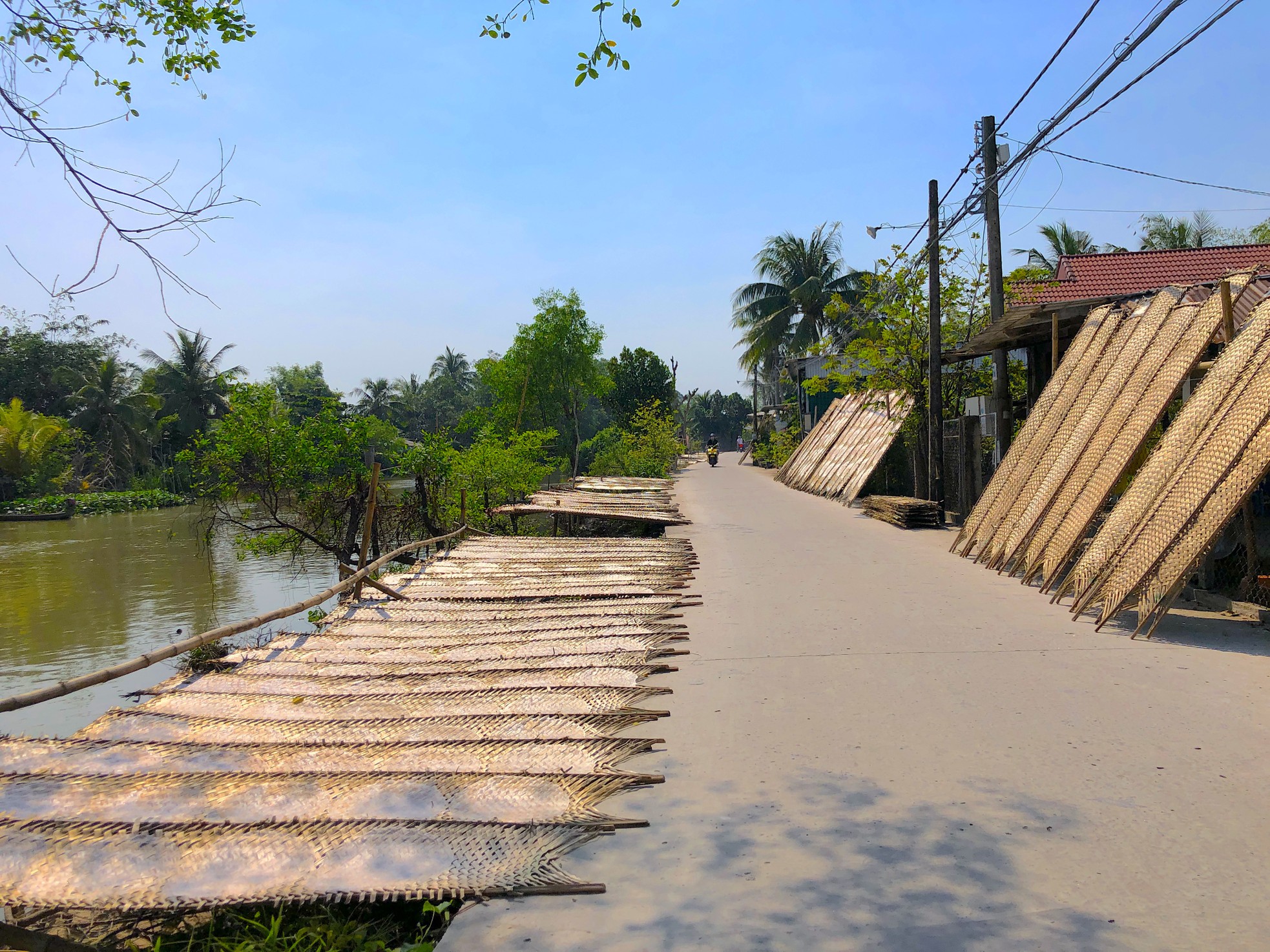 Bánh tráng miền Tây 'đắt như tôm tươi' dịp Tết - Ảnh 2.