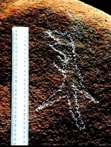 Quái vật cổ đại của Úc: Câu chuyện về Burrunjor - Ảnh 4. Quái vật cổ đại của Úc: Câu chuyện về Burrunjor - Ảnh 4.