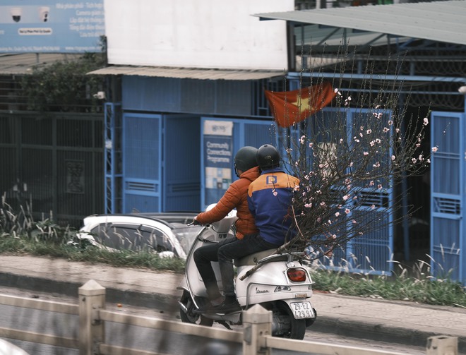 Hà Nội 29 Tết: Không còn cảnh xô bồ, tấp nập mà rất tươi đẹp và bình yên - Ảnh 25. Hà Nội 29 Tết: Không còn cảnh xô bồ, tấp nập mà rất tươi đẹp và bình yên - Ảnh 25.