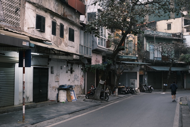 Hà Nội 29 Tết: Không còn cảnh xô bồ, tấp nập mà rất tươi đẹp và bình yên - Ảnh 6. Hà Nội 29 Tết: Không còn cảnh xô bồ, tấp nập mà rất tươi đẹp và bình yên - Ảnh 6.