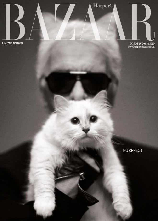 Cô mèo sướng nhất làmg thời trang: Được cố NTK Karl Lagerfeld 'nâng như nâng trứng', thậm chí sở hữu gia tài 13 triệu đô - Ảnh 12.