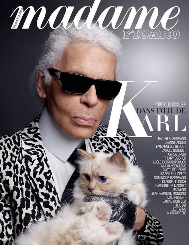 Cô mèo sướng nhất làmg thời trang: Được cố NTK Karl Lagerfeld 'nâng như nâng trứng', thậm chí sở hữu gia tài 13 triệu đô - Ảnh 5.