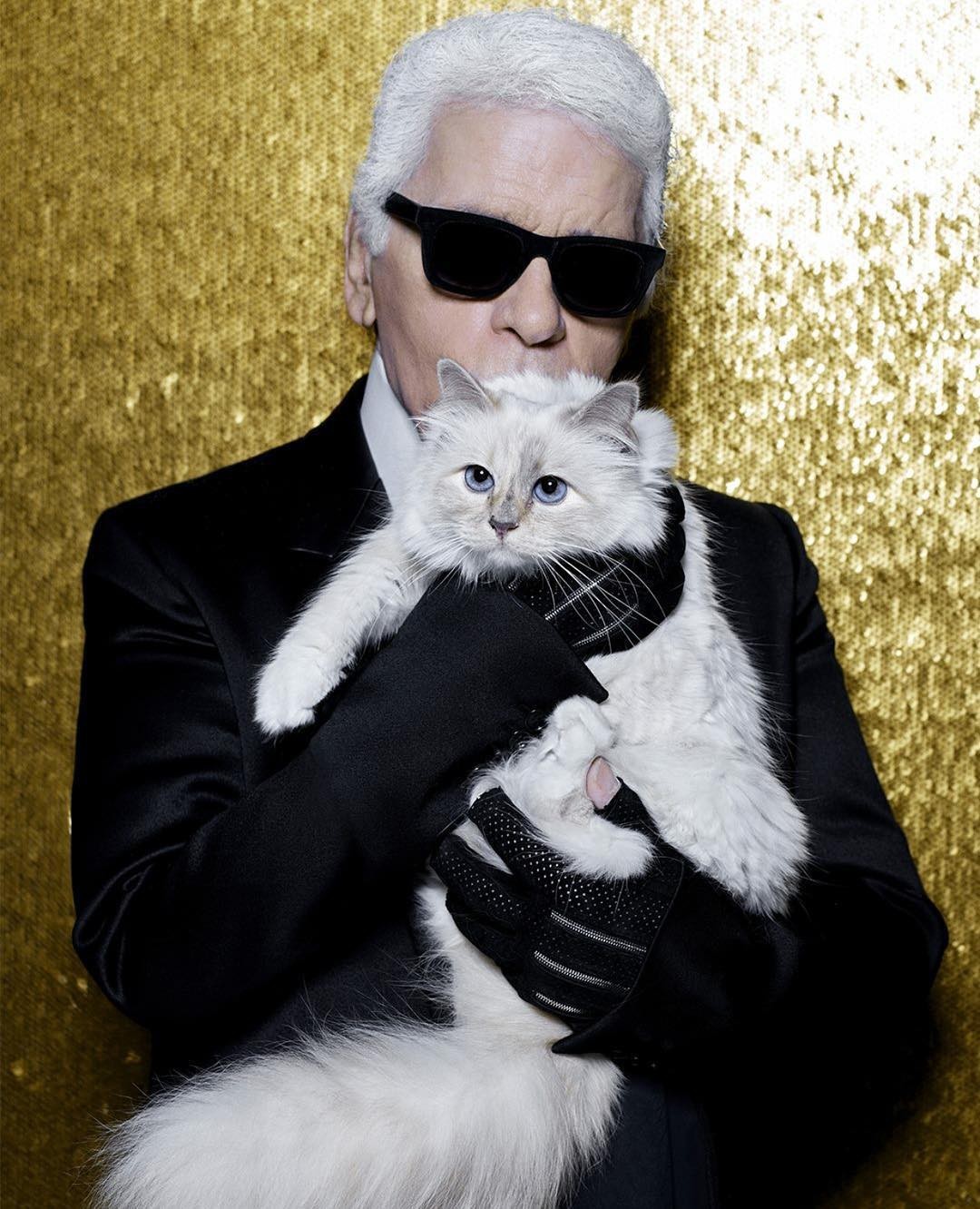 Cô mèo sướng nhất làmg thời trang: Được cố NTK Karl Lagerfeld 'nâng như nâng trứng', thậm chí sở hữu gia tài 13 triệu đô - Ảnh 1.