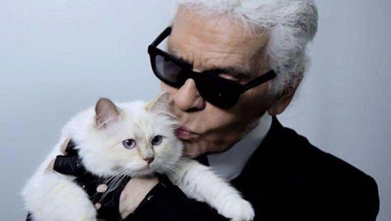 Cô mèo sướng nhất làmg thời trang: Được cố NTK Karl Lagerfeld 'nâng như nâng trứng', thậm chí sở hữu gia tài 13 triệu đô - Ảnh 2.