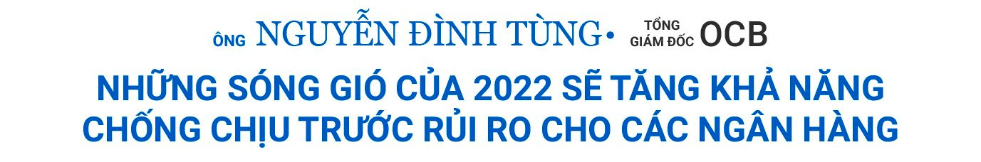 CEO các ngân hàng nhận định gì về năm 2023? - Ảnh 12.