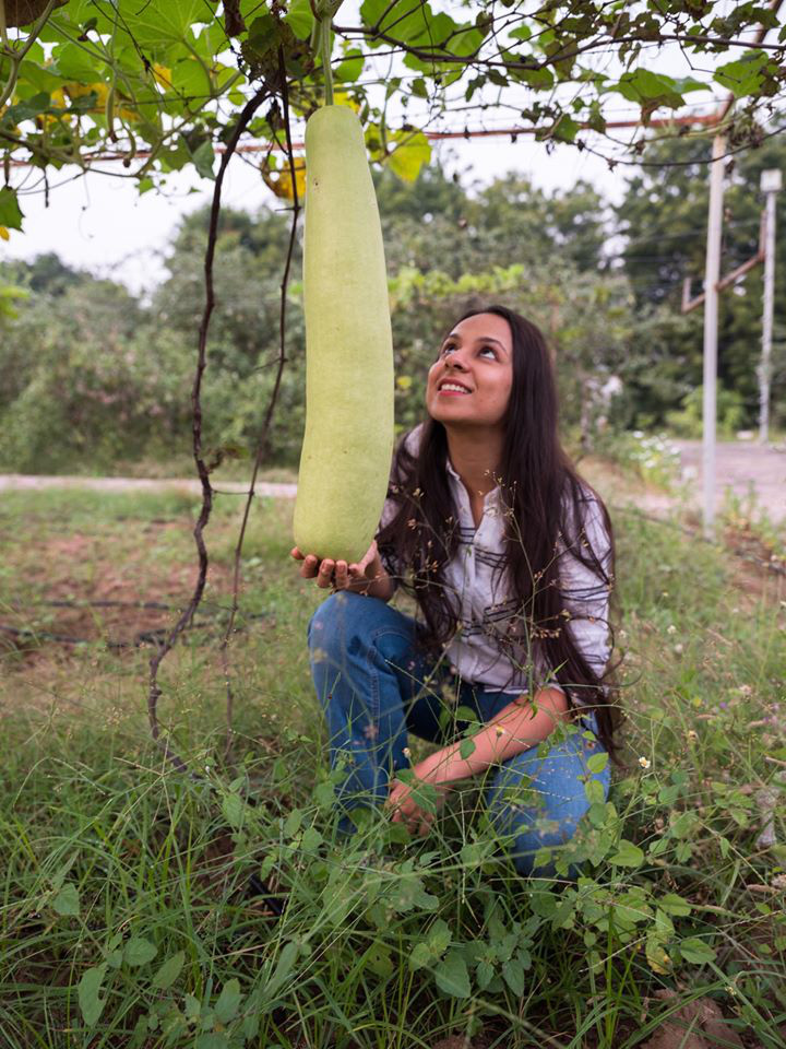 Nữ kỹ sư trẻ về quê làm vườn, trồng rau sạch cho gia đình thưởng thức - Ảnh 3.