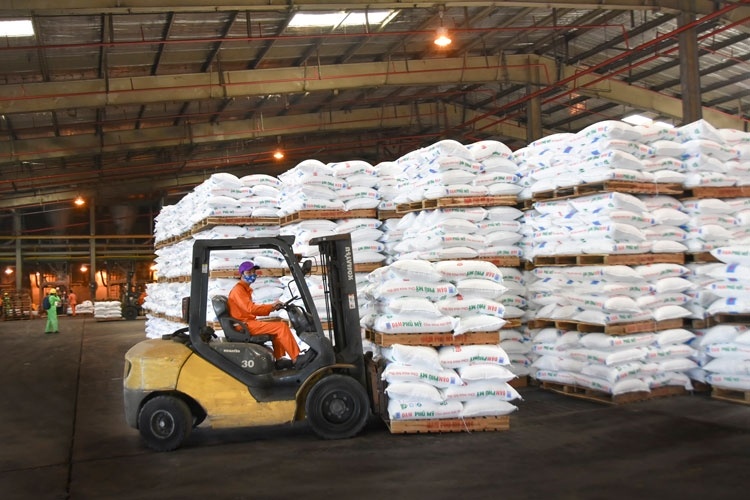 Việt Nam cần những doanh nghiệp giữ vai trò ‘sếu đầu đàn’ trong lĩnh vực sản xuất - Ảnh 1. Việt Nam cần những doanh nghiệp giữ vai trò ‘sếu đầu đàn’ trong lĩnh vực sản xuất - Ảnh 1.
