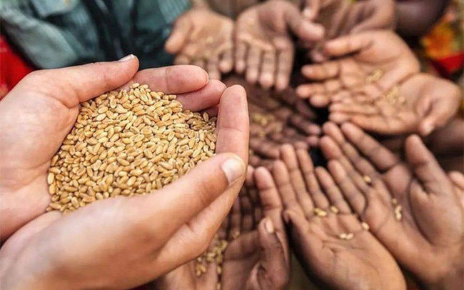 Ấn Độ thay đổi tư duy về an ninh lương thực - Ảnh 1. Ấn Độ thay đổi tư duy về an ninh lương thực - Ảnh 1.