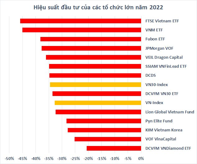 Chứng khoán Việt Nam giảm mạnh trong năm 2022, hàng loạt “cá mập” chìm trong thua lỗ - Ảnh 2.