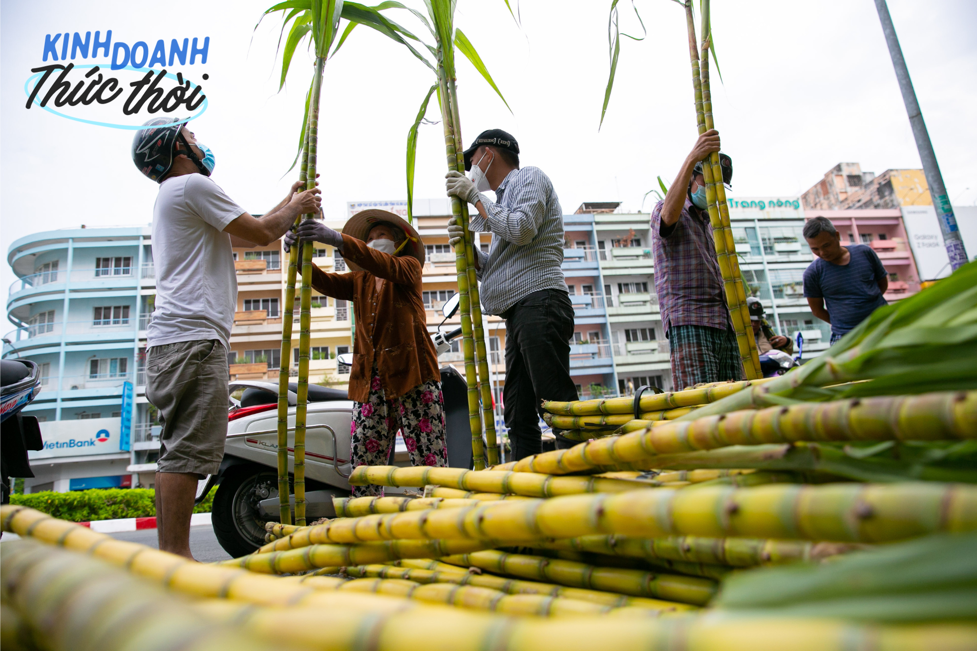 Kiếm hàng chục triệu chưa đầy 24 giờ nhờ phong tục mua mía vàng cúng vía Trời ở Sài Gòn - Ảnh 5.