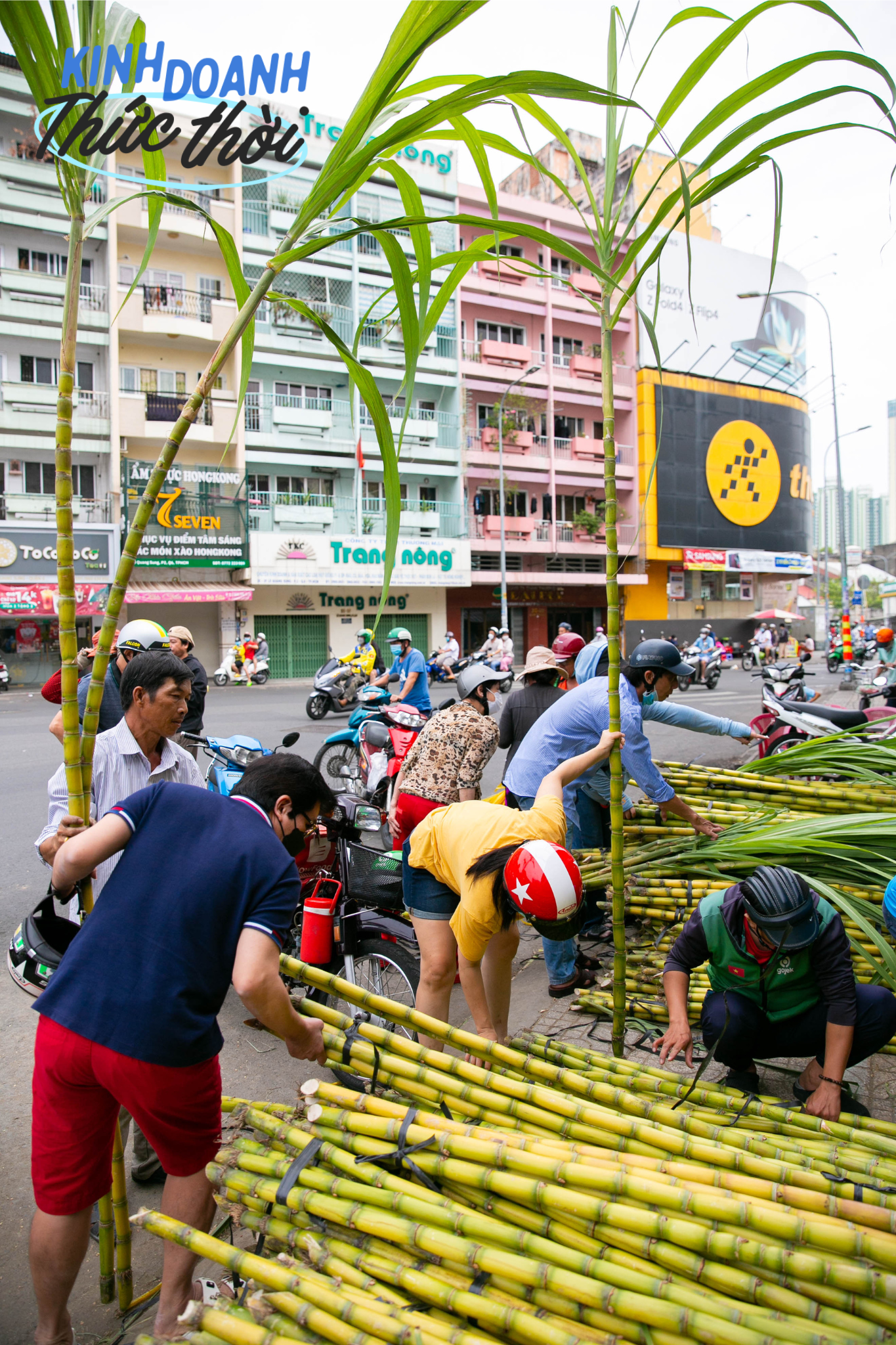 Kiếm hàng chục triệu chưa đầy 24 giờ nhờ phong tục mua mía vàng cúng vía Trời ở Sài Gòn - Ảnh 16.