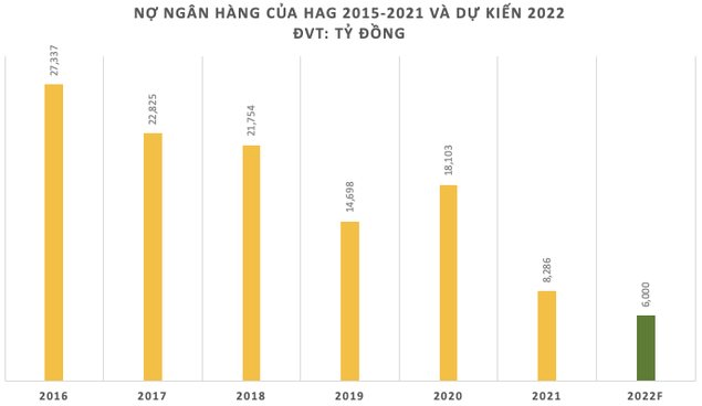 Đằng sau việc Hoàng Anh Gia Lai (HAG) chưa thể trả nợ đúng hạn - Ảnh 3.