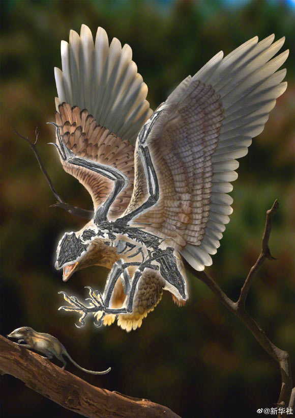 Trung Quốc: Chim mang đầu T-rex hiện nguyên hình từ cõi chết - Ảnh 1.