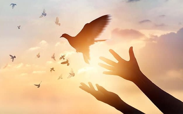 Sức mạnh của lời “xin lỗi" lớn đến nhường nào? - Ảnh 3.