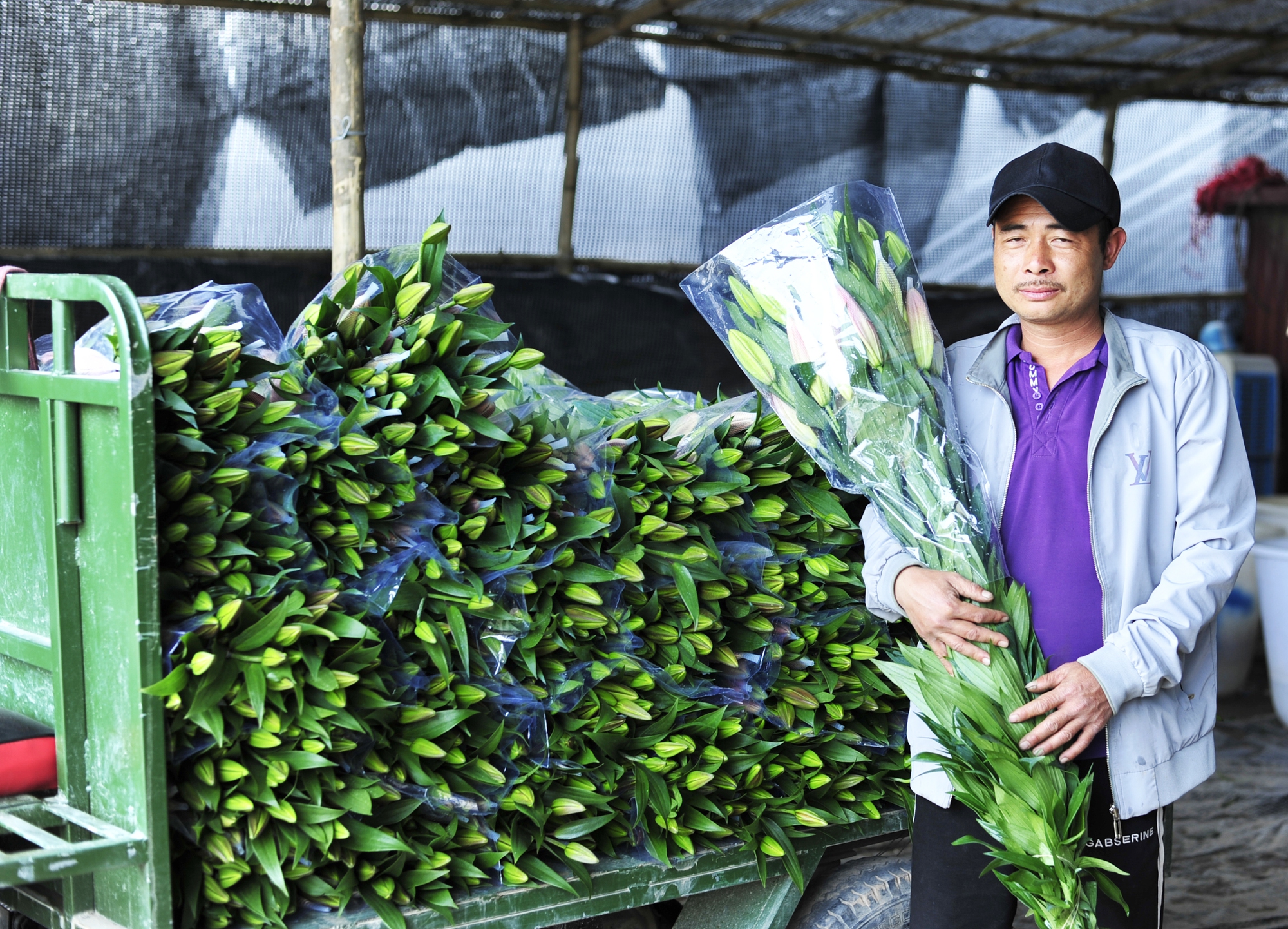Anh Nguyễn Viết Tới – một nông dân thâm niên gần chục năm thuê đất ở các làng nghề trồng hoa, hy vọng năm nay thu về được vốn