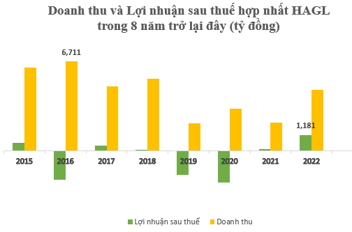 Công bố lợi nhuận năm 2022 đạt 1.181 tỷ đồng, Hoàng Anh Gia Lai phá &quot;dớp&quot; lỗ và lợi nhuận &quot;bèo bọt&quot; suốt 7 năm qua - Ảnh 2.