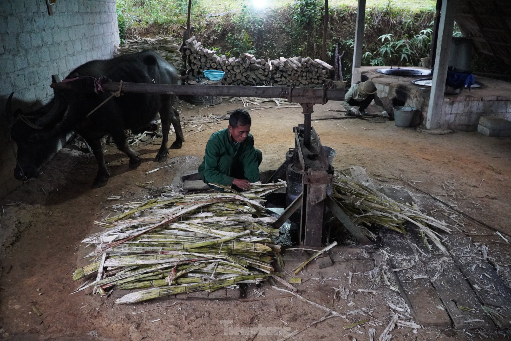 Cả làng đỏ lửa nấu mật ngày đêm vẫn 'cháy hàng' dịp Tết - Ảnh 6.