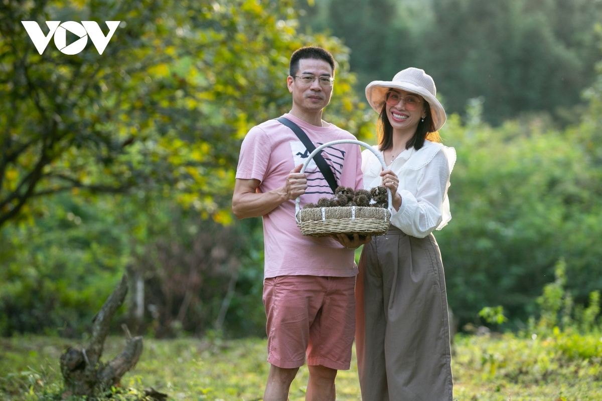 Du khách hào hứng với trải nghiệm tại thủ phủ trồng dẻ Cao Bằng - Ảnh 7. Du khách hào hứng với trải nghiệm tại thủ phủ trồng dẻ Cao Bằng - Ảnh 7.