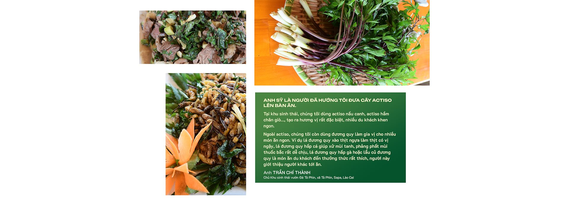 “Người tự đi đày” ở Traphaco và khát khao “đưa thảo dược lên bàn ăn, vào tour du lịch” - Ảnh 12.