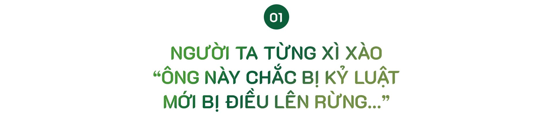 “Người tự đi đày” ở Traphaco và khát khao “đưa thảo dược lên bàn ăn, vào tour du lịch” - Ảnh 1.