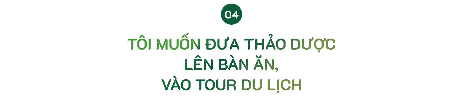 “Người tự đi đày” ở Traphaco và khát khao “đưa thảo dược lên bàn ăn, vào tour du lịch” - Ảnh 10.