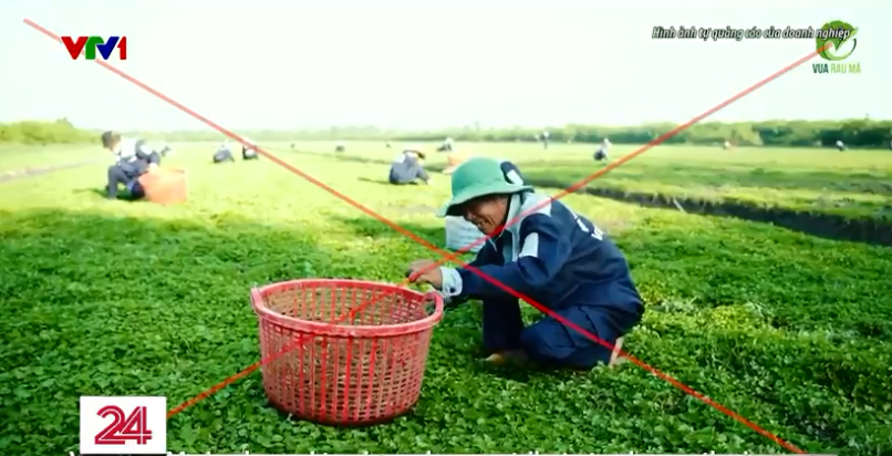 Khốn đốn vì những khoản đầu tư có nguy cơ mất trắng - Ảnh 2. Khốn đốn vì những khoản đầu tư có nguy cơ mất trắng - Ảnh 2.