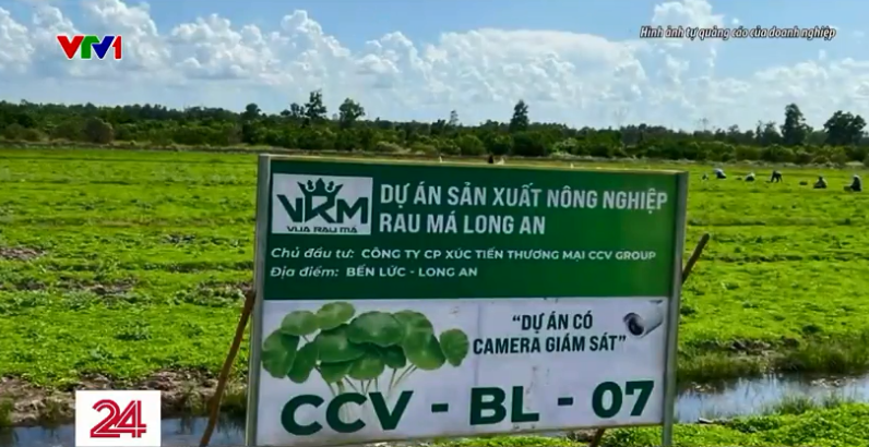 Khốn đốn vì những khoản đầu tư có nguy cơ mất trắng - Ảnh 1. Khốn đốn vì những khoản đầu tư có nguy cơ mất trắng - Ảnh 1.