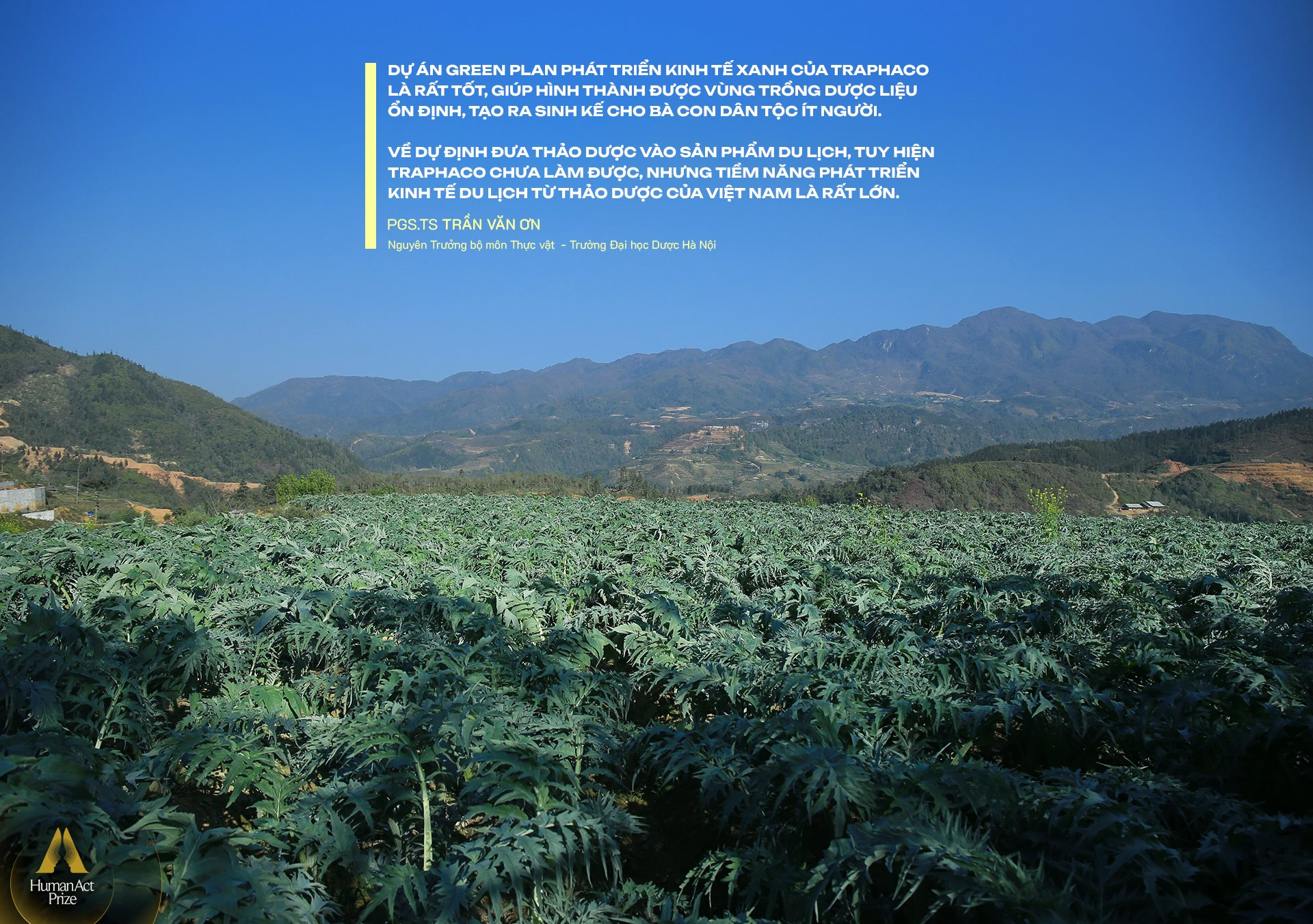 “Người tự đi đày” ở Traphaco và khát khao “đưa thảo dược lên bàn ăn, vào tour du lịch” - Ảnh 13.