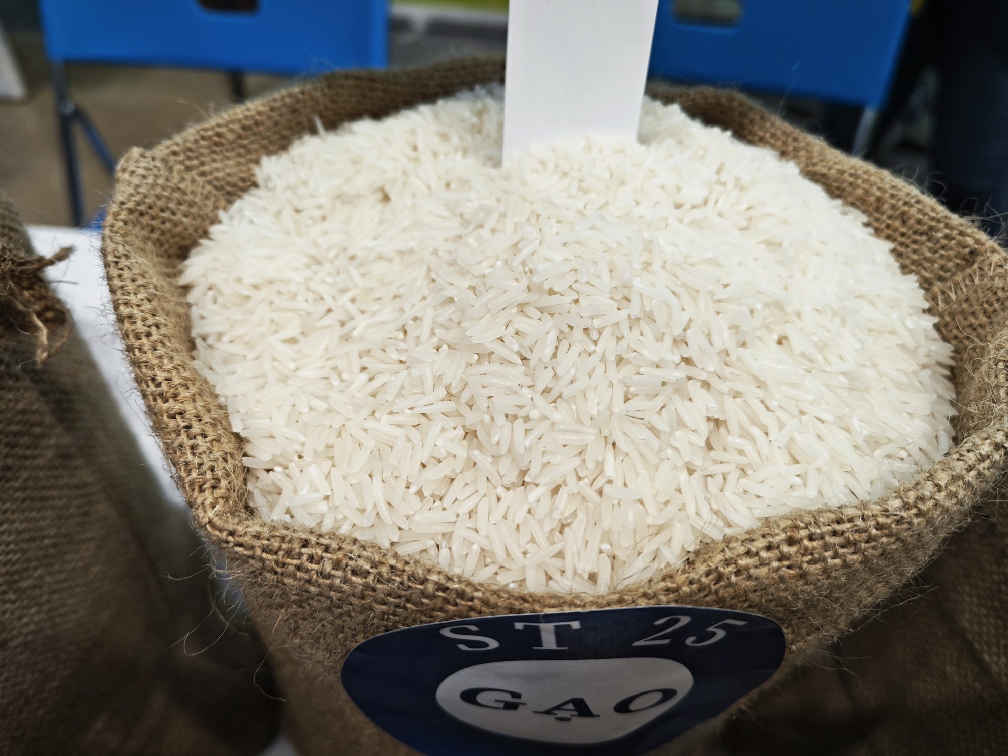 Nghịch lý: Giá gạo xuất khẩu tăng nhưng dân buôn gạo đặc sản lại than trời - Ảnh 2.