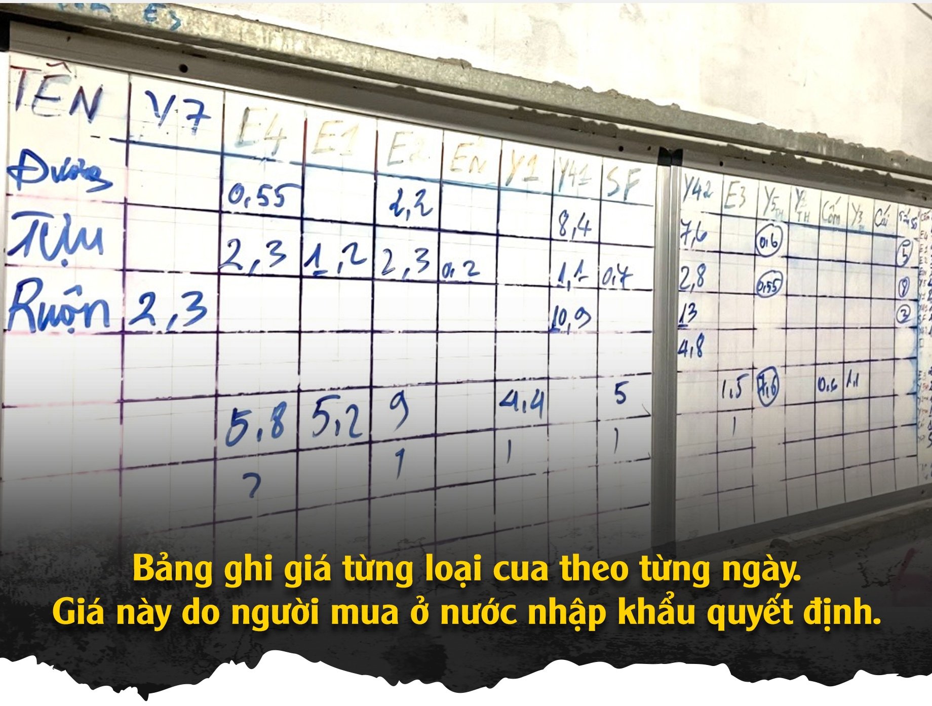 Vén màn mánh khóe xảo quyệt sau chuyện thương lái ép giá ở thủ phủ cua Cà Mau - Ảnh 3.