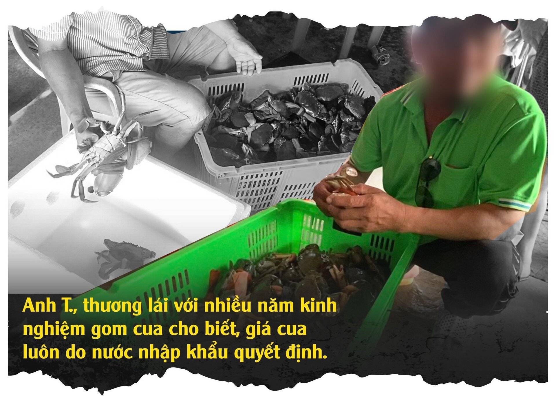 Vén màn mánh khóe xảo quyệt sau chuyện thương lái ép giá ở thủ phủ cua Cà Mau - Ảnh 5.