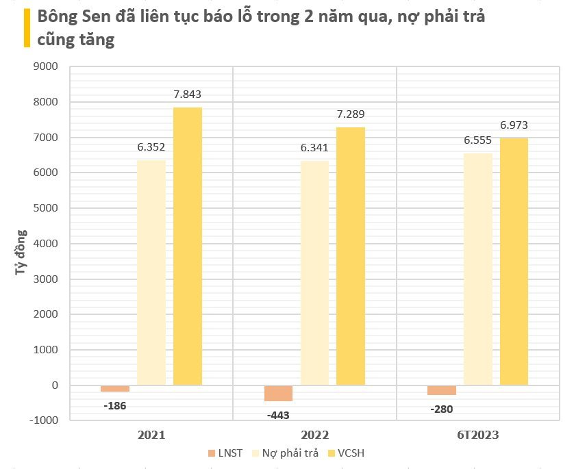 Nợ gốc và lãi trái phiếu lên tới gần 5.500 tỷ đồng, công ty có VĐL nghìn tỷ liên quan Vạn Thịnh Phát đổi sang nữ chủ tịch 30 tuổi - Ảnh 4.