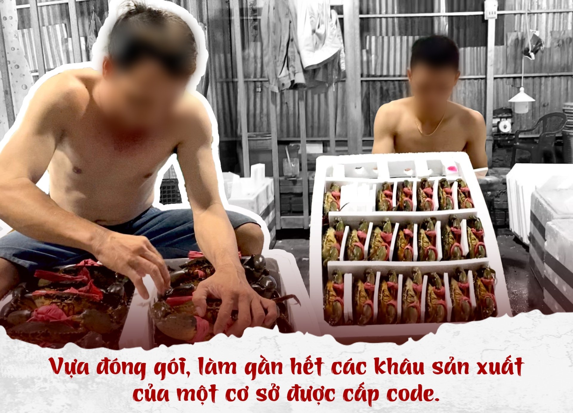 Dễ thuê, khó xin code - 'Luật ngầm' vây giới buôn cua Cà Mau - Ảnh 3. Dễ thuê, khó xin code - 'Luật ngầm' vây giới buôn cua Cà Mau - Ảnh 3.