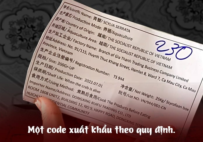 Dễ thuê, khó xin code - 'Luật ngầm' vây giới buôn cua Cà Mau - Ảnh 7. Dễ thuê, khó xin code - 'Luật ngầm' vây giới buôn cua Cà Mau - Ảnh 7.