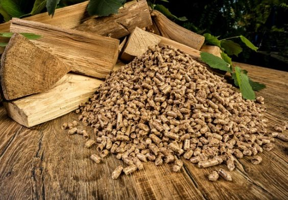 “Cây kim tiền” giúp Việt Nam thu gần 10 tỷ USD chỉ trong 9 tháng: Mỹ, Trung Quốc, Nhật Bản “chốt đơn” nhiều nhất, Việt Nam xếp thứ 5 thế giới - Ảnh 1. “Cây kim tiền” giúp Việt Nam thu gần 10 tỷ USD chỉ trong 9 tháng: Mỹ, Trung Quốc, Nhật Bản “chốt đơn” nhiều nhất, Việt Nam xếp thứ 5 thế giới - Ảnh 1.