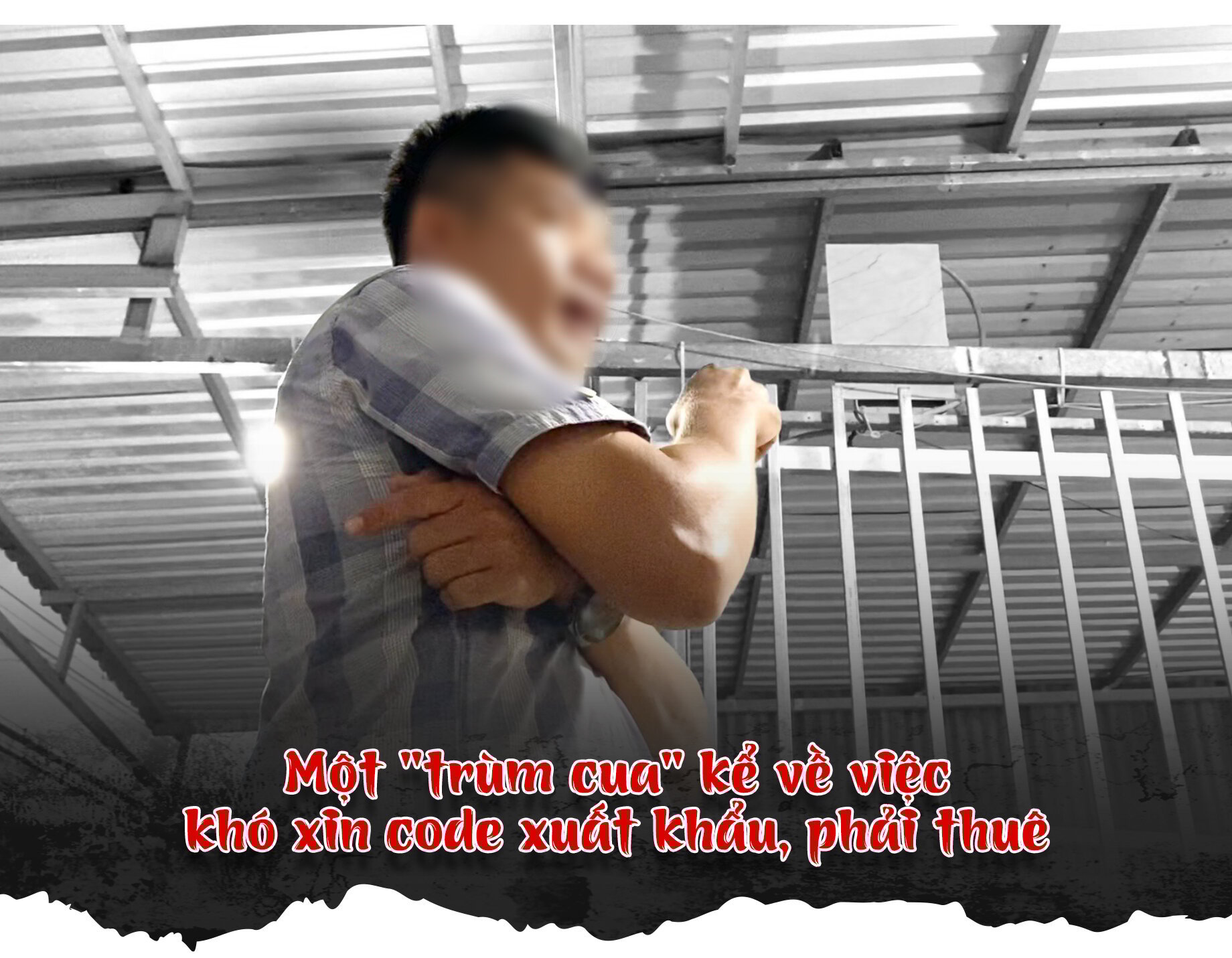 Dễ thuê, khó xin code - 'Luật ngầm' vây giới buôn cua Cà Mau - Ảnh 6. Dễ thuê, khó xin code - 'Luật ngầm' vây giới buôn cua Cà Mau - Ảnh 6.