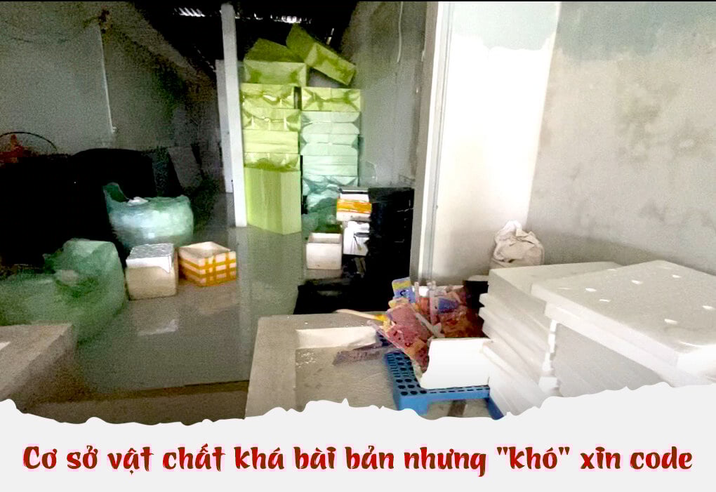 Dễ thuê, khó xin code - 'Luật ngầm' vây giới buôn cua Cà Mau - Ảnh 5. Dễ thuê, khó xin code - 'Luật ngầm' vây giới buôn cua Cà Mau - Ảnh 5.