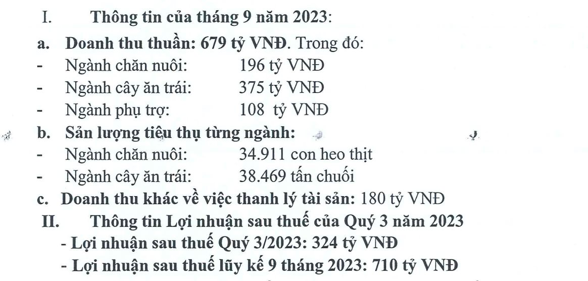 Hoàng Anh Gia Lai (HAGL): Lợi nhuận 9 tháng đạt 710 tỷ đồng, tự tin nguồn thu từ chuối sẽ tăng mạnh vào cuối năm - Ảnh 2.