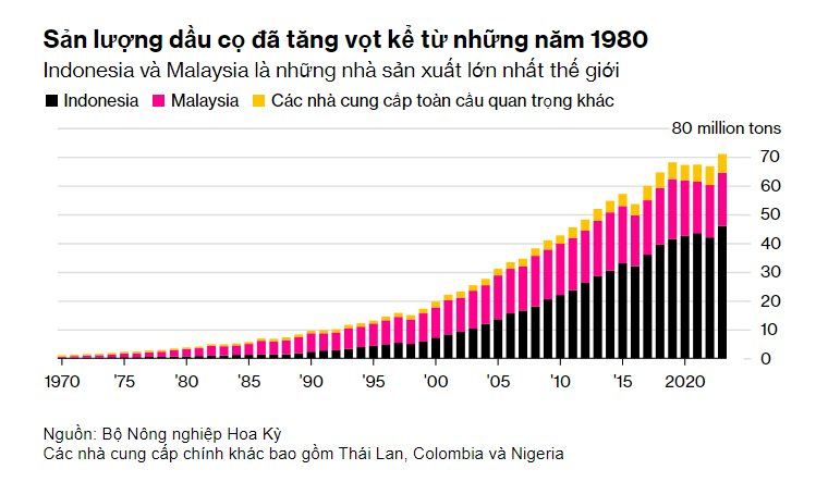 Chiếm lĩnh gần hết thị trường toàn cầu, hai quốc gia Đông Nam Á đang làm cả thế giới lo lắng vì những cây cọ già - Ảnh 4.