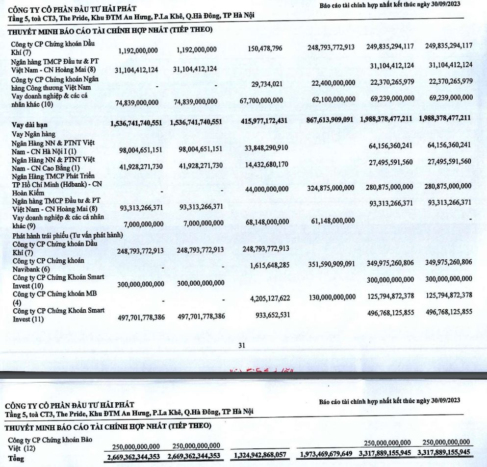 Dự án vướng pháp lý, Hải Phát (HPX) lợi nhuận “bốc hơi” hơn 95% - Ảnh 3.