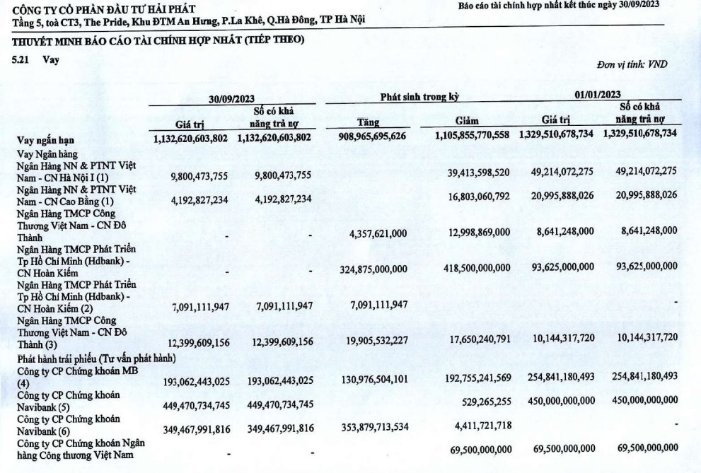 Dự án vướng pháp lý, Hải Phát (HPX) lợi nhuận “bốc hơi” hơn 95% - Ảnh 2.