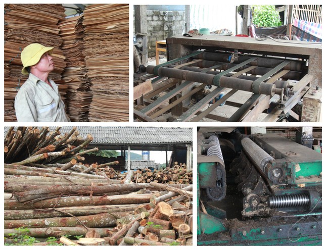 Nhiều cơ sở chế biến gỗ dừng hoạt động - Ảnh 3.